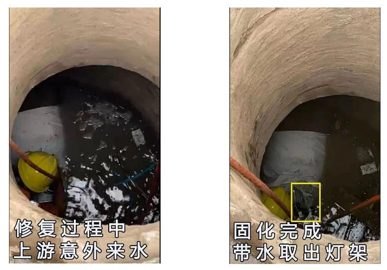 QQ截圖20230227115603.jpg